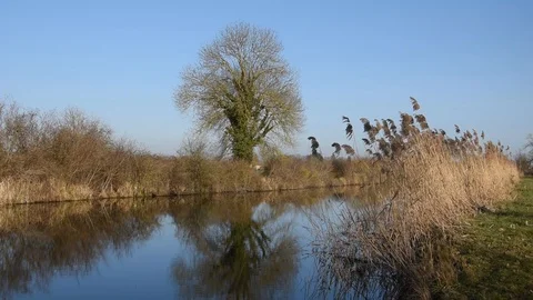 Landscape with canal Stock Footage 123952835