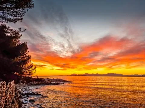 Landscape in the Cap d'Antibes during a sunset, South of France 스톡 사진