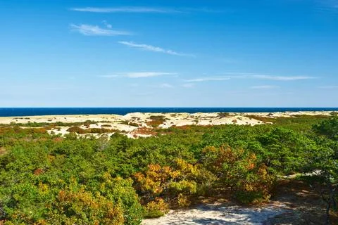 Landscape at Cape Cod Landscape at Cape Cod, Massachusetts, USA. Copyright... Stock Photos