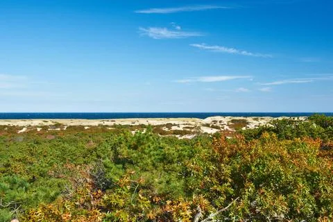 Landscape at Cape Cod Landscape at Cape Cod, Massachusetts, USA. Copyright... Stock Photos