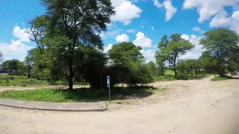 Landscape in central Botswana filmed out of car side window Stock Footage