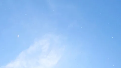 Landscape of the cherry blossom Stock Footage 86058658