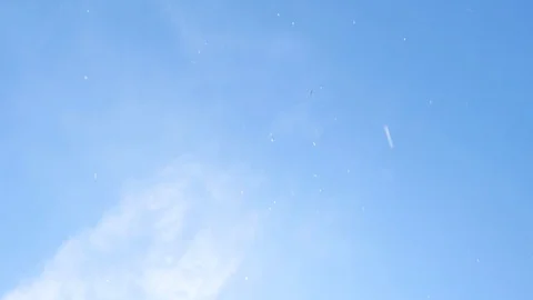 Landscape of the cherry blossom Stock Footage 91238778