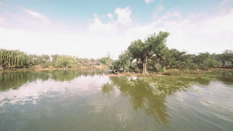 Landscape in city park with lake Vídeo Stock 234503653