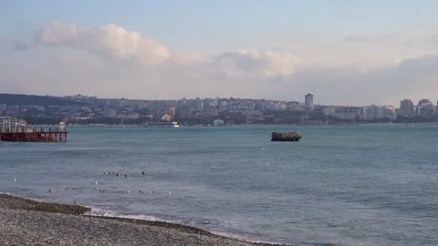 Landscape of the city on the seashore Stock Footage 305295664