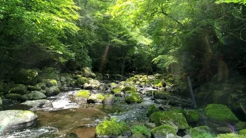 Landscape of clear stream Stockbeeldmateriaal 82956129