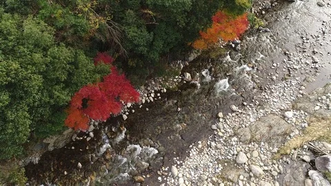 Landscape of clear stream Stock Footage 85405549