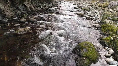 Landscape of clear stream Stock Footage 85405552
