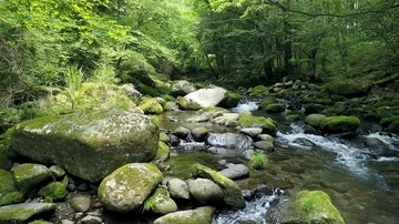 Landscape of clear stream Vídeos de archivo 86103595