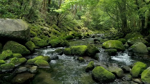 Landscape of clear stream Stock Footage 86103606