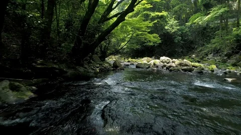 Landscape of clear stream Stock Footage 86103611