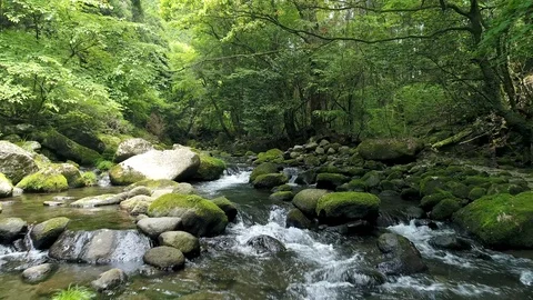 Landscape of clear stream Stockbeeldmateriaal 86103656