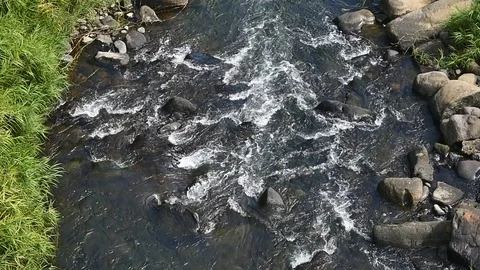 Landscape of clear stream Stock Footage 86200192