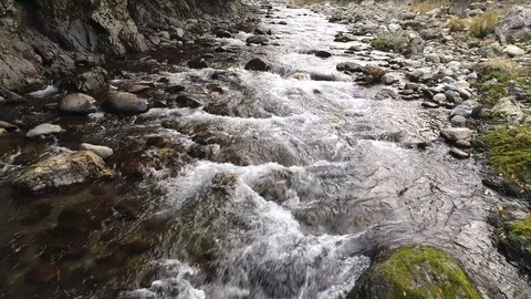 Landscape of clear stream Stock-Footage 87310353