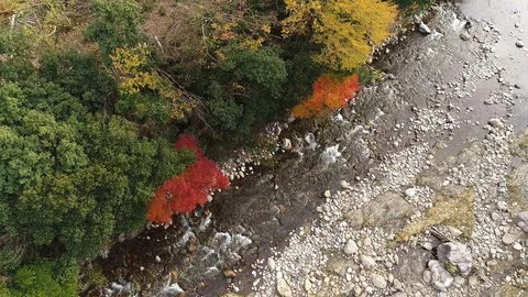 Landscape of clear stream Video stock 87310573