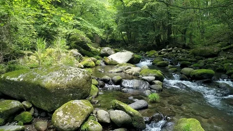 Landscape of clear stream Vídeos de archivo 89076405