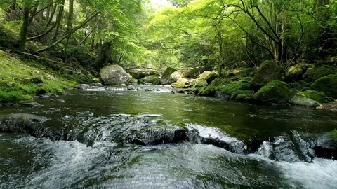 Landscape of clear stream Stock Footage 90893809