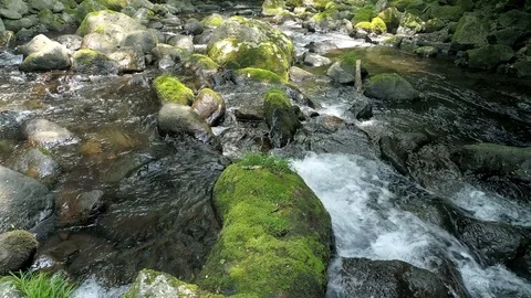 Landscape of clear stream Stock-Footage 92053380