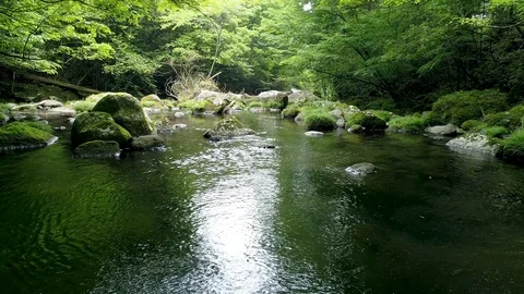 Landscape of clear stream Stock Footage 93836191