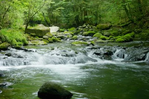 Landscape of clear stream Stock Photos