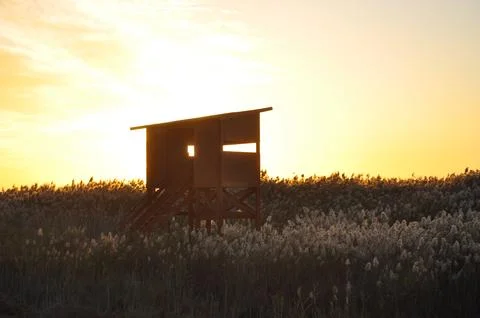 Landscape of cloud sky with sunset Stock Photos