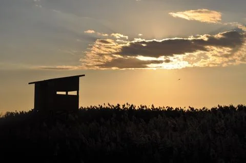 Landscape of cloud sky with sunset Stock Photos