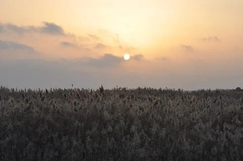 Landscape of cloud sky with sunset Stock-Fotos