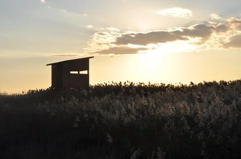 Landscape of cloud sky with sunset Foto stock