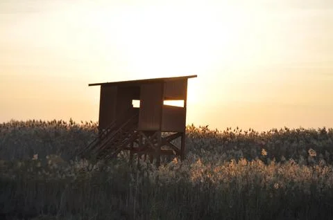 Landscape of cloud sky with sunset Photos