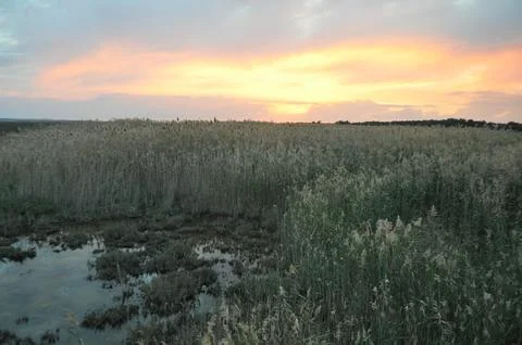 Landscape of cloud sky with sunset Stock Photos