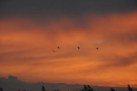 Landscape of cloud sky with sunset Stock Photos