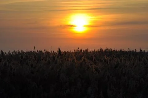 Landscape of cloud sky with sunset Stock Photos