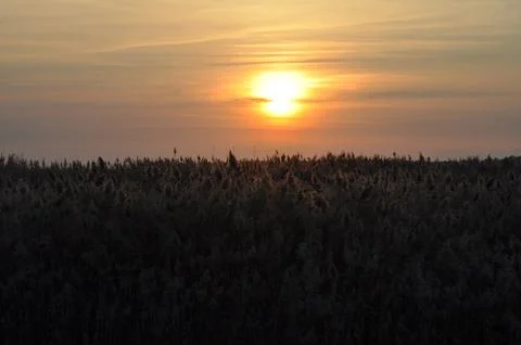 Landscape of cloud sky with sunset Stock Photos