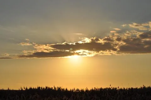 Landscape of cloud sky with sunset 스톡 사진