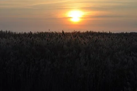 Landscape of cloud sky with sunset Foto stock