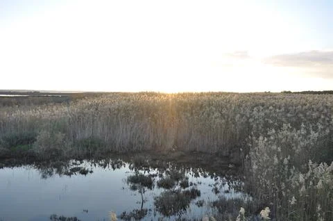 Landscape of cloud sky with sunset 스톡 사진