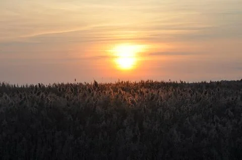 Landscape of cloud sky with sunset Stock Photos