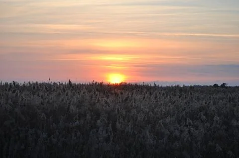 Landscape of cloud sky with sunset Stock Photos