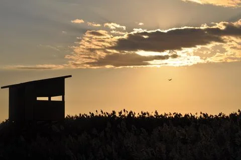 Landscape of cloud sky with sunset Stock Photos