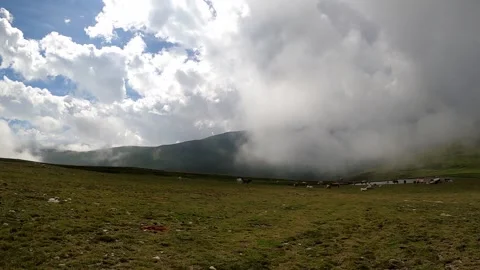 Landscape with clouds and animals pasturing Stock Footage 142747436