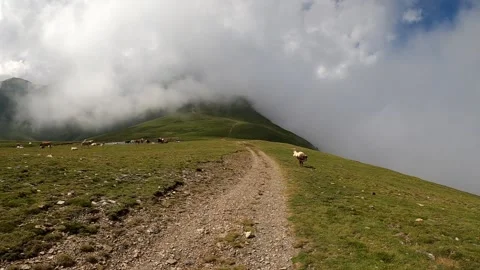 Landscape with clouds (hiking on a trail) Stock Footage 142747678