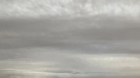 Landscape with cloudy gray sky. 库存影片 163082941