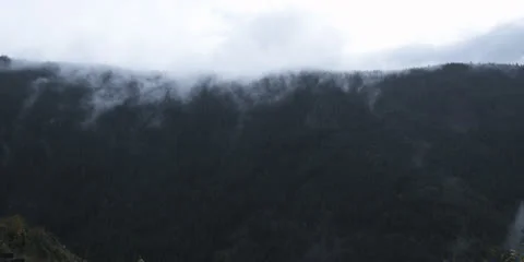 Landscape of Cloudy Oregon Mountains Pines Forest | Pan Stock Footage 24072743