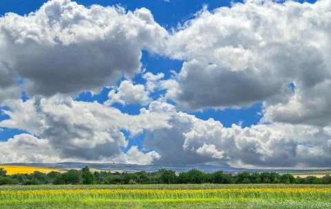 Landscape with cloudy sky Stock Photos