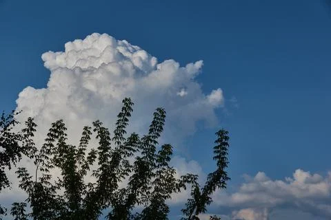 Landscape. Cloudy sky. Stock Photos