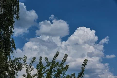 Landscape. Cloudy sky. Stock Photos