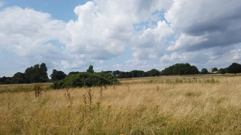 Landscape with cloudy sunny weather Stock Footage 113684832