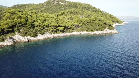 Landscape with coconut trees and turquoise lagoon Stock Footage 135709191