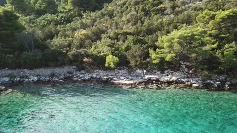 Landscape with coconut trees and turquoise lagoon Stock Footage 135709754
