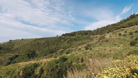 Landscape Collserola 動画素材 129750548